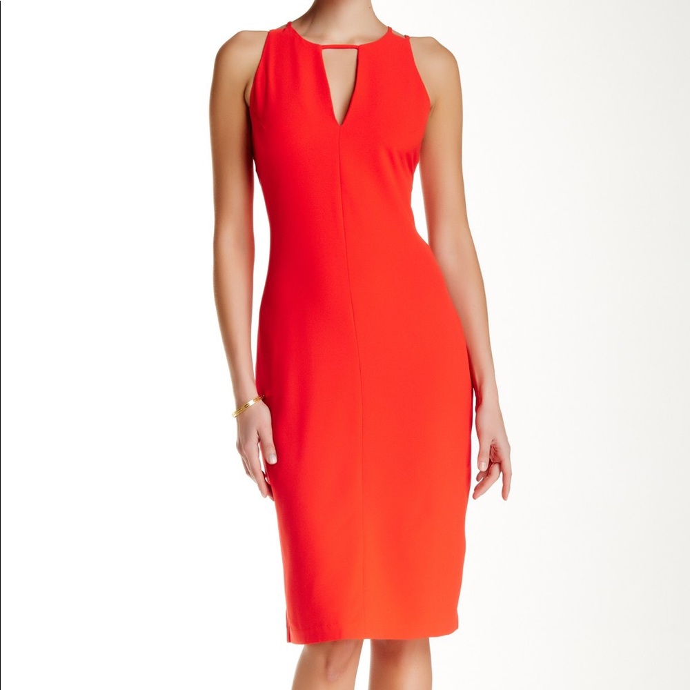 BWT “BB Dakota” Dress